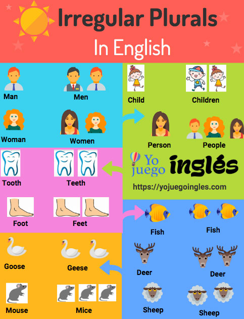 Plurales irregulares en ingles